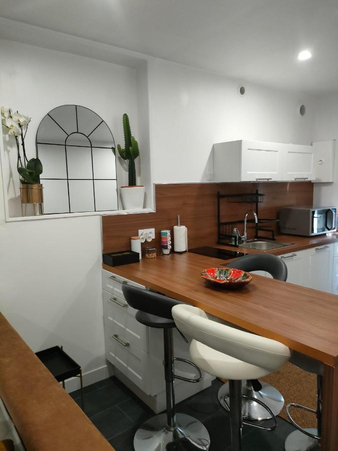 Le Petit Cocon - Parking Prive - Lyon Sud Apartman Vénissieux Kültér fotó
